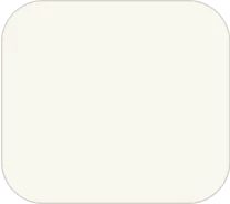 Absolute White
