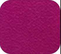 Sweet Fuchsia