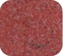 Hibiscus Red